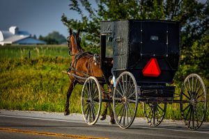 Our Story JL Amish Depot amish horse and buggy