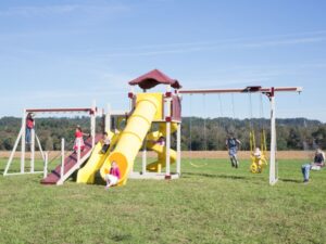 Eagle Vinyl Playset