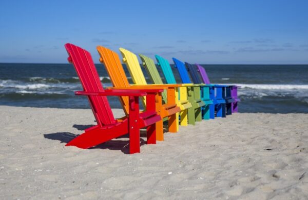 fanback poly chair